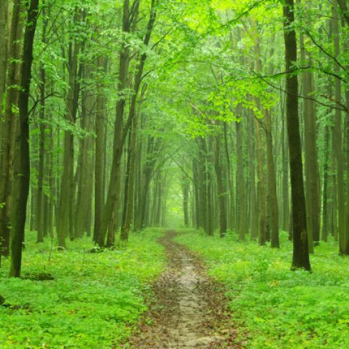 Conoce su historia y sus recursos medioambientales Conoce su historia y sus recursos medioambientales